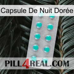 Capsule De Nuit Dorée 28